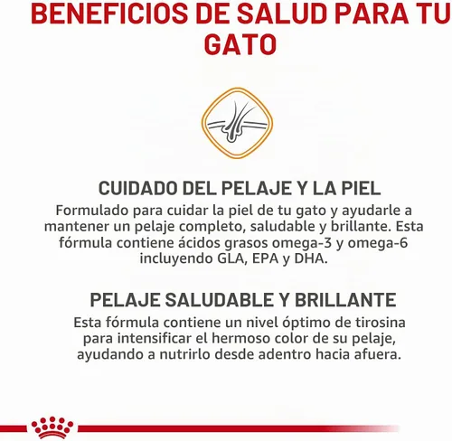 Vista 4 de Royal Canin Cuidado del cabello y la piel Alimento seco para gatos, bolsa de 3.5 libras Diseñado para pieles sensibles, abrigo brillante