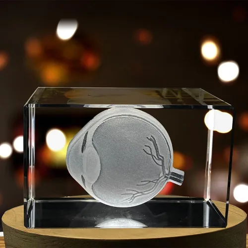 Vista 2 de Arte de ojos para oftalmólogos Recuerdo de cristal grabado en 3D Regalo para médico Coleccionable Recuerdo Regalo personalizado con foto