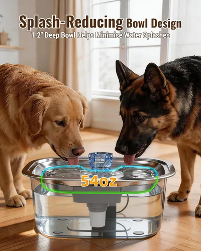 Vista 7 de PETNF Fuente de agua de acero inoxidable de 3 galones para perros grandes, dispensador de tazón de agua para perros con 2 filtros, ventana de agua