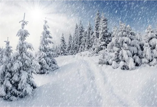 Vista 12 de Renaiss Fondo de fotografía de paisaje forestal de invierno de 7 x 5 pies, paisaje natural, copos de nieve, pinos, fondo para niños y adultos, 23D94