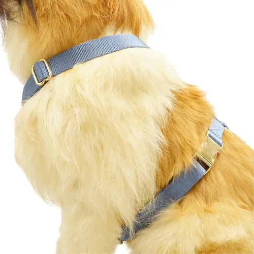 Vista 5 de Arnés de nailon para perro sin tirones con hebillas de metal doradas, arnés para perro fácil de caminar y entrenar (azul aire, XS)