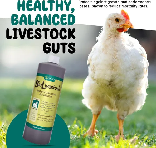 Vista 3 de SCD Bio Livestock - Aditivo líquido probiótico para piensos y agua, suplemento digestivo orgánico para vacas, cerdos, caballos, pollos, patos