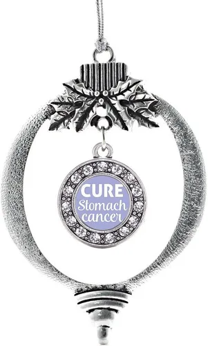 Vista 52 de Inspired Silver - Adorno con dije de cara de carlino - Adornos navideños de círculo de plata con joyas de circonita cúbica