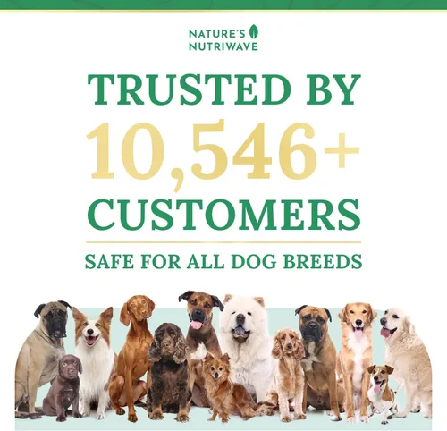 Vista 4 de Probióticos líquidos para perros Pawbiotix – 1 oz, 1 mes de suministro