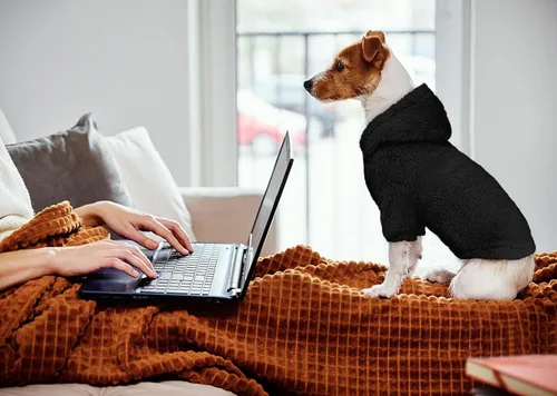 Vista 6 de Suéteres Peludos para Perros Pequeños Sudadera con Capucha para Perros Ropa para Mascotas Abrigos Cálidos Suaves Acogedores Sudadera con Capucha