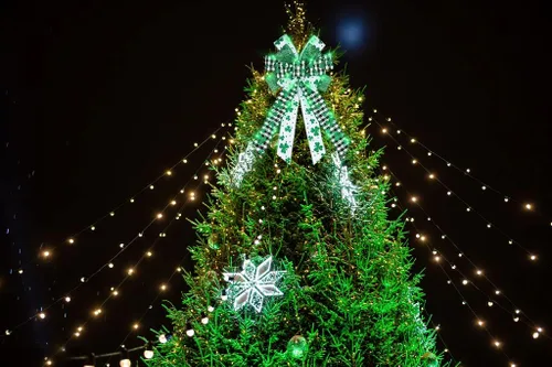 Vista 3 de ALIBBON Arcos LED grandes para coronas, lazos de corona de San Patricio, lazos de trébol verde con purpurina para manualidades, decoración irlandesa