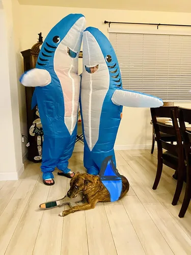 Vista 2 de Inflatable Shark Costume