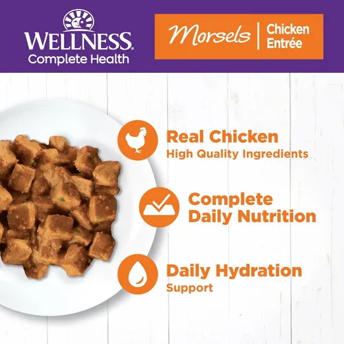 Vista 2 de Wellness Natural comida enlatada, para gatos, libre de granos, Anaranjado