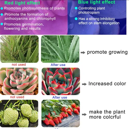 Vista 2 de Flores de interior Frutas Planta de jardín Cultivo Accesorios de luz Temporización Jardinería Cultivo Lámpara de crecimiento de plantas acuáticas