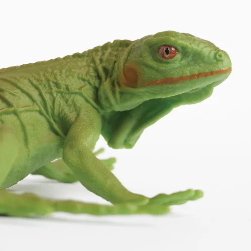 Vista 3 de Bebé iguana, colección Incredible Creatures, de la marca Safari Ltd