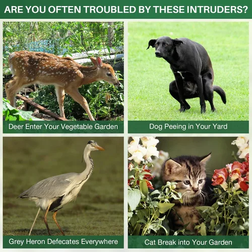 Vista 9 de Repelente de animales para exteriores, repelente solar de plagas de animales al aire libre, repelente de ardillas, repelente de mapaches