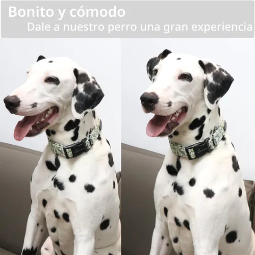 Vista 4 de Aring Pet Collar de algodón, ligero y ajustable, con hebilla de liberación rápida para perros pequeños, medianos y grandes, para cachorros, S