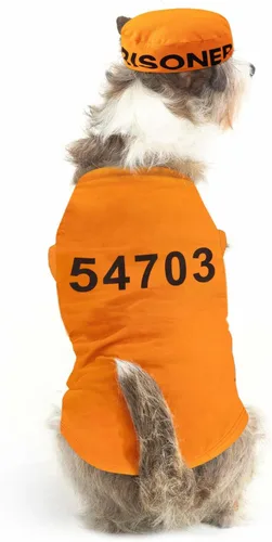 Vista 9 de Disfraz de sal y pimienta para perro, disfraz de Halloween para perro, cosplay, sal y pimienta (negro, mediano)
