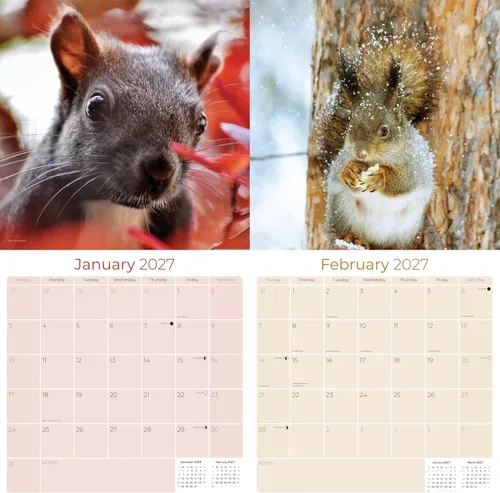 Vista 144 de Calendario de grises africanos 2025 2026 – Planificador mensual de pared de aves africanas – 12 x 18 pulgadas (abierto), calendario de pared
