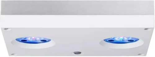 Vista 4 de AquaIllumination Hydra - Luz LED de 32 luces LED para acuario, iluminación de espectro completo para crecimiento de coral, control inalámbrico, alta
