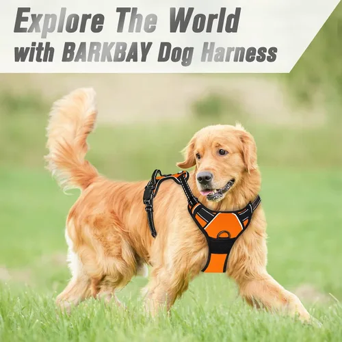 Vista 91 de BARKBAY - Arnés para perro sin tirones con clip frontal, material resistente y reflectante, asa de fácil control para pasear perros grandes