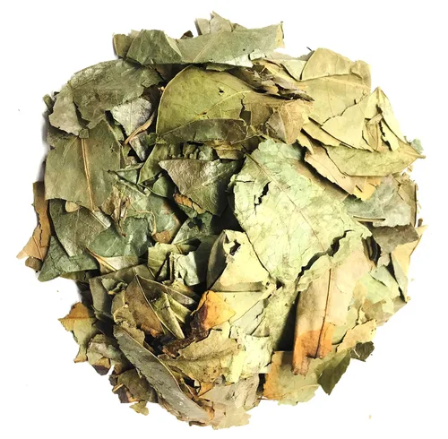 Vista 3 de Hojas secas de graviola, hojas de té de guanábana secas, hojas de guanabana 2 oz y 4 oz (2 onzas)