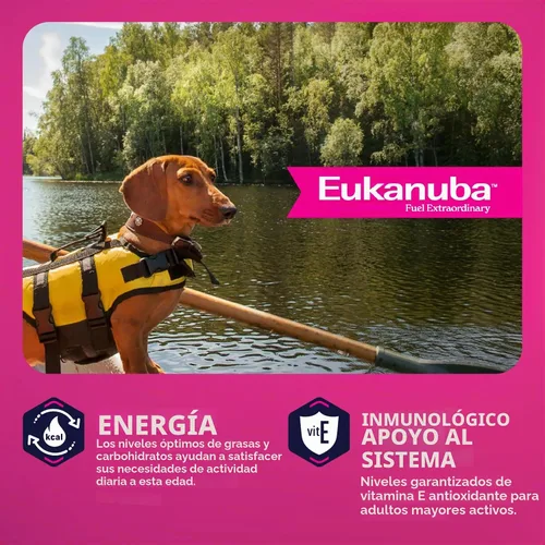 Vista 6 de Comida para perros seca EUKANUBA Senior