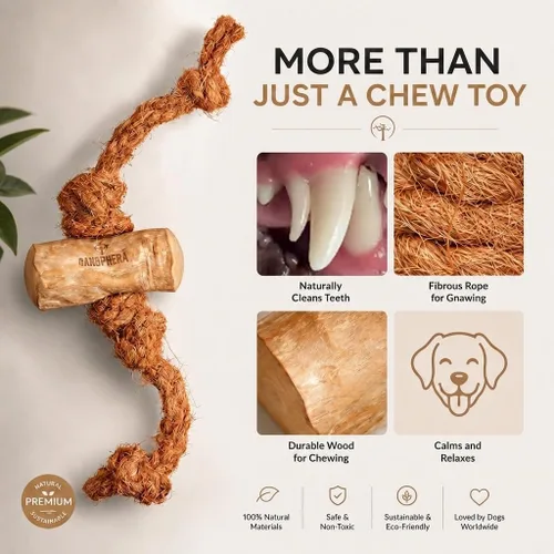 Vista 6 de Canophera Juguete masticable de madera y coco para perros para dientes y encías saludables, tamaño pequeño, todas las razas de perros