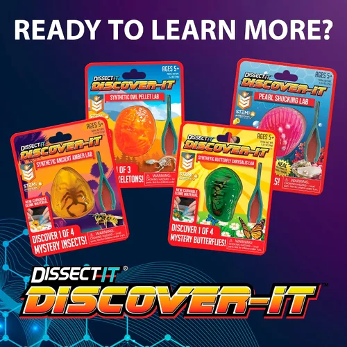 Vista 6 de Discover-It Kit de disección para niños, kit de laboratorio científico de ámbar sintético para aprender sobre insectos, juguetes científicos