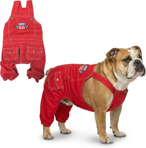 Vista 10 de Parisian Pet Camisa para perro de Amazonia - Ropa de algodón para perros pequeños - Elegante traje tropical para perros - Ropa ligera y suave