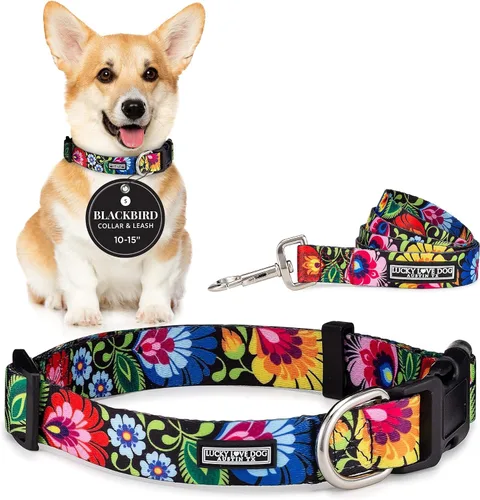 Vista 65 de Lucky Love Dog - Collar para perras pequeñas, diseño Blackbird de estampado alegre con flores de primavera y verano, talla XS Collar Blackbird