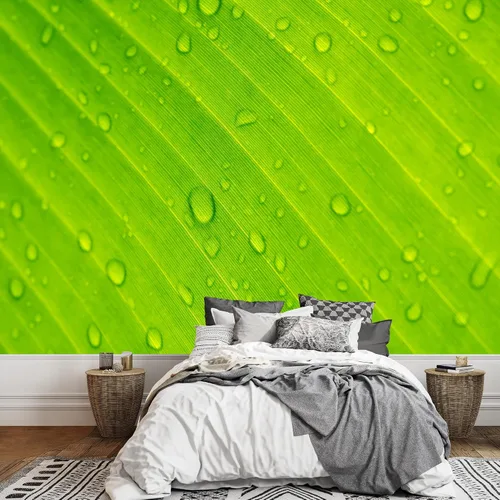 Vista 34 de wall26 serie Wall Mural Papel de empapelar autoadhesivo, grande., WMR-WP-X-D986-66x24x4