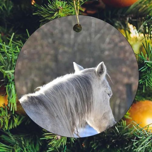 Vista 7 de Adornos para árbol de Navidad 2023, adorno de Navidad de caballo blanco, recuerdo festivo de porcelana, decoración de adornos de Navidad, ideas