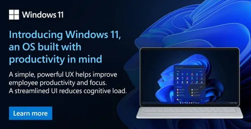 Vista 3 de Microsoft OEM System Builder Windоws 11 Pro Intended use for new systems Authorized by Microsoft