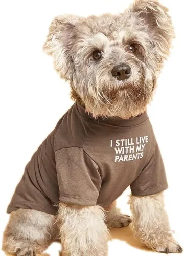 Vista 8 de Ropa linda para perro, camiseta para perros medianos y pequeños, niña y niño, cachorro. Disfraz suave y transpirable para mascotas, perros, gatos