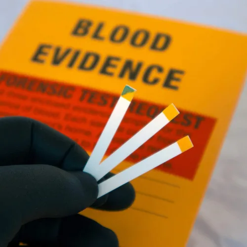 Vista 5 de Crime Scene Kit de ciencia forense: Resuelve el asesinato de Missy Hammond