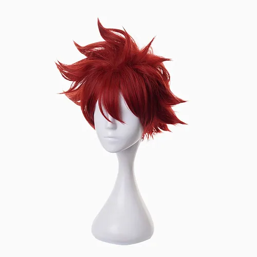Vista 2 de XiongXiongLe SK8 Peluca de anime REKI rojo vino, peluca corta de repuesto de fibra resistente al calor, para hombres, niños, para juegos de rol