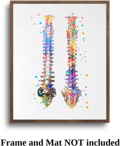 Vista 7 de Dignovel Studios 8X10 sin marco de la columna vertebral humana anatomía ósea médico médico acuarela arte impresión cartel inauguración casa giclée