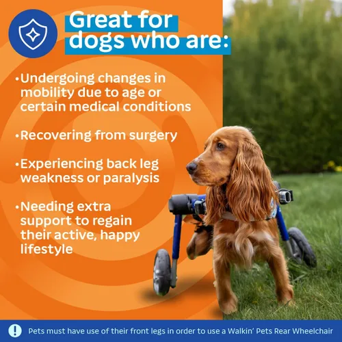 Vista 4 de Silla de ruedas de perro para perros pequeños, 26 a 69 libras, de Walkin' Wheels, 2, Azul