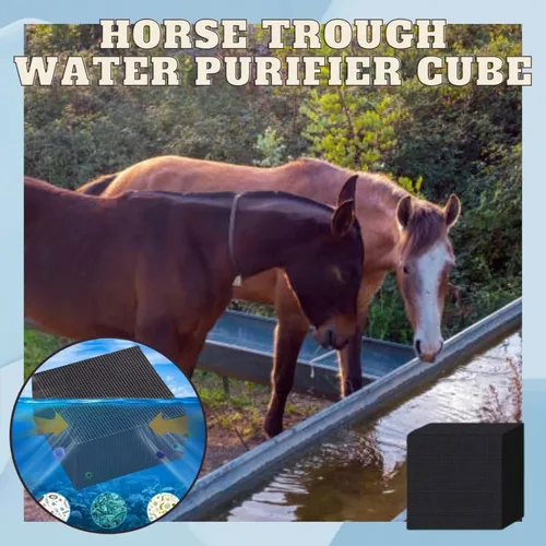 Vista 2 de Cubo purificador de canal de agua, filtros de peces, absorción para acuario, estanques, pecera, tanque de agua, purificación de agua (3 piezas)