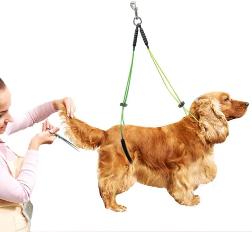 Vista 5 de Oumefar Correa ajustable de aseo para mascotas sin sentar Haunch Holder Restricción Lavado Gargantilla Perros Gatos Aseo Mesa Brazo (Amarillo+Verde)