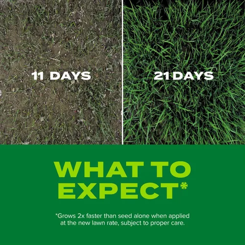 Vista 5 de Scotts Turf Builder Rapid Grass - Mezcla de festuca alta, 16 libras.