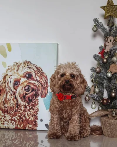 Vista 7 de Collares navideños para perros con flor roja extraíble, collar de perro pequeño para perras hembras