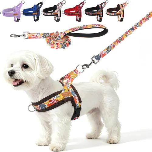 Vista 53 de BEAUTYZOO Arnés para Perros Pequeños, Juego de Arnés y Correa sin Tirones, Arnés de Pecho para Cachorros a Prueba de Escapes con Mango, Arnés Beige