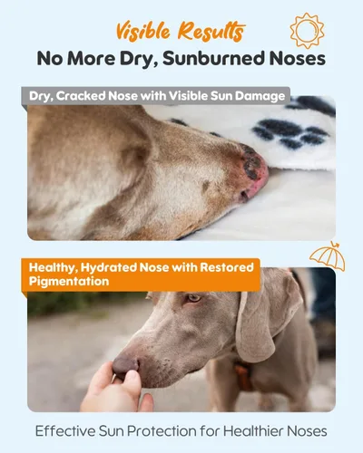 Vista 11 de Bálsamo protector solar para nariz de perro SPF 25 – Protección solar natural, segura para lamer con manteca de karité y espino cerval de mar
