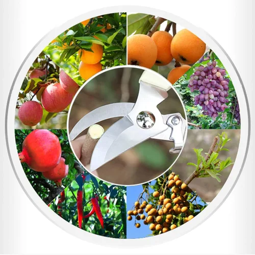 Vista 6 de Leize - Juego de tijeras para flores, paquete de 2 unidades, tijeras florales de acero inoxidable premium y engrosadas, podadora fuerte para flores