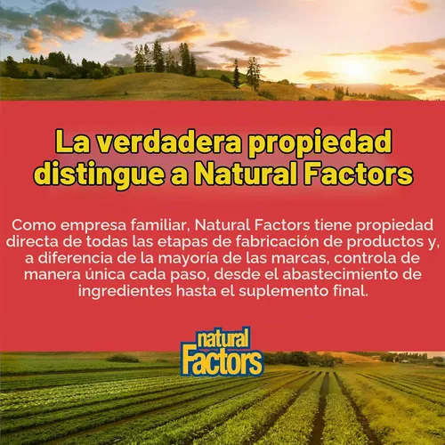Vista 7 de Natural Factors Rutina 250 mg con Vitamina C 100 mg, 90 Cápsulas