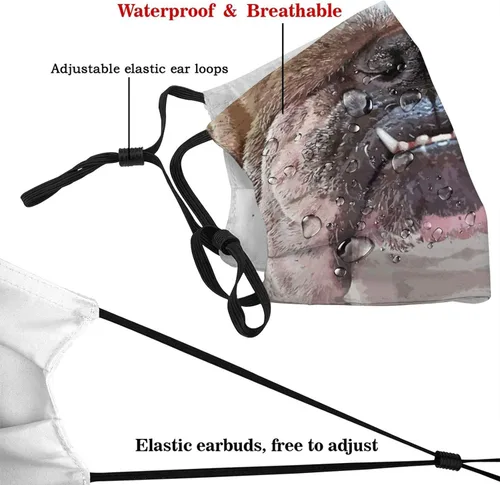 Vista 4 de goincrond Divertida máscara facial de animales lavable de tela transpirable reutilizable con filtros para adultos mujeres hombres y jóvenes