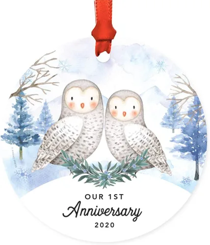 Vista 14 de Andaz Press Adorno redondo de recuerdo de Navidad, nuestro 10 aniversario 2025, búhos de nieve de invierno en acuarela, 1 paquete, incluye cinta