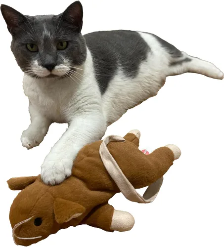 Vista 5 de SPOT Fuzzy Mouse Freddie Juguete para Gatos con Hierba Gatera – Ratón de Felpa de 3.5 pulgadas para Gatos y Gatitos, Sonido Crujiente, Ideal