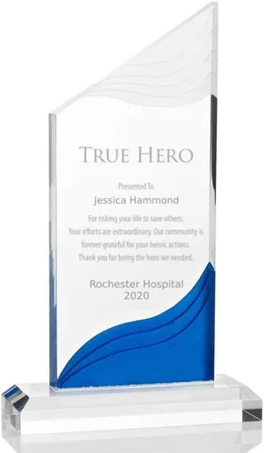 Vista 7 de Premios Blue Shimmer Healthcare