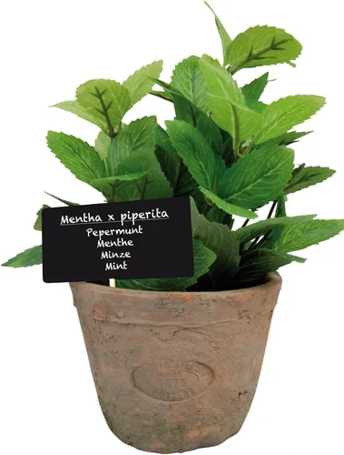 Vista 8 de Esschert Design Planta de Hierba Artificial, Cebollino, Pequeña