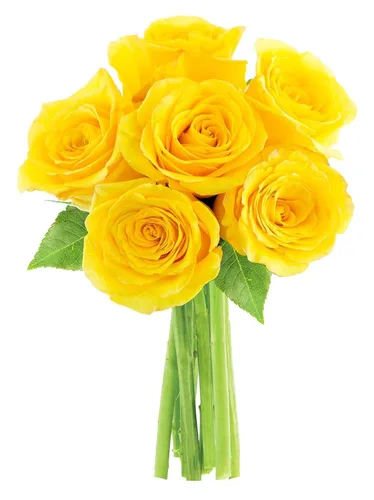 Vista 48 de KaBloom - Rosas arcoíris (media docena)- Flores frescas para cumpleaños, San Valentín y Día de la Madre