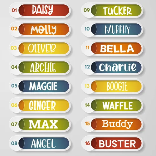 Vista 5 de ACTUALIZADO - Collares de perro personalizados y placa de identificación grabada, collar de perro de nailon reflectante, personalizable en 11
