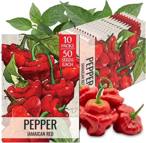 Vista 123 de Seed Needs - Semillas de pimiento arcoíris para plantar verduras, 1 paquete